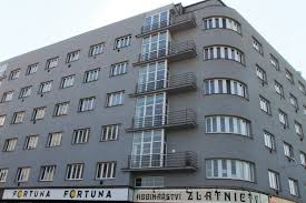 stažený soubor (1).jpg